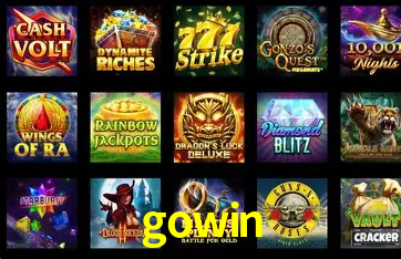 Flash Promotion gowin